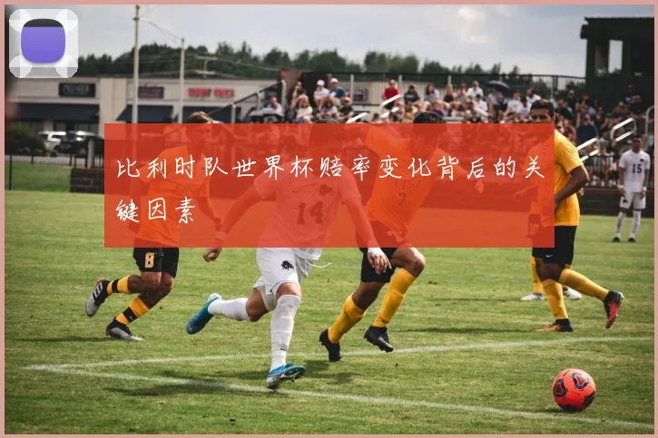 比利时队世界杯赔率变化背后的关键因素